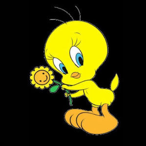 Meet your Posher, Elaniss